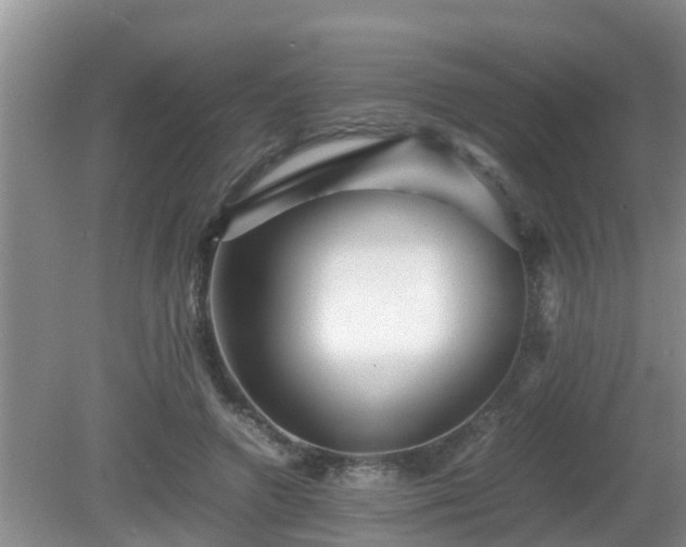 X0000081490546200701191901