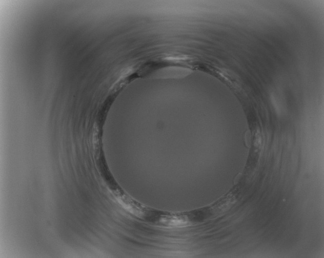 X0000081490559200701191901