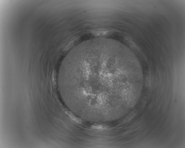 X0000081490561200701191901