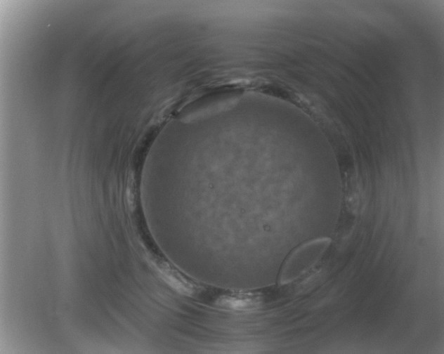 X0000081490563200701191901