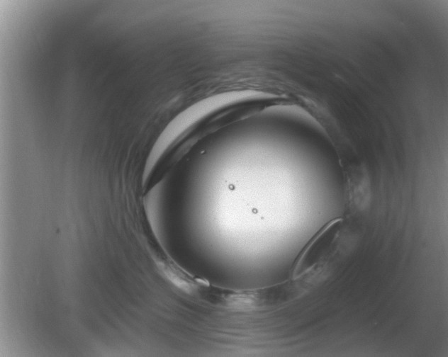 X0000081490574200701191901