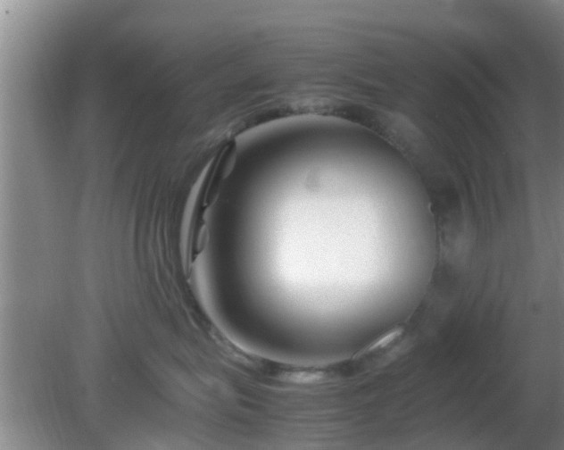 X0000081490575200701191901