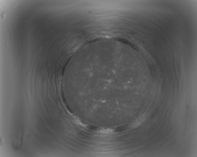 X0000081490576200701191901