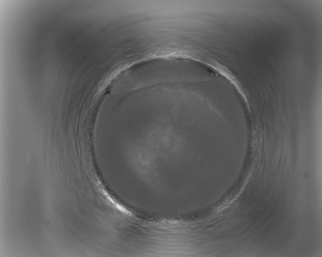 X0000081490577200701191901