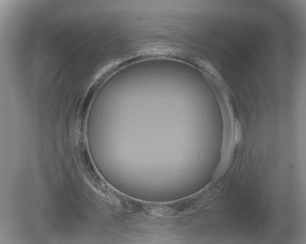 X0000081490579200701191900