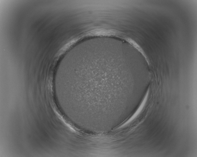 X0000081490581200701191900