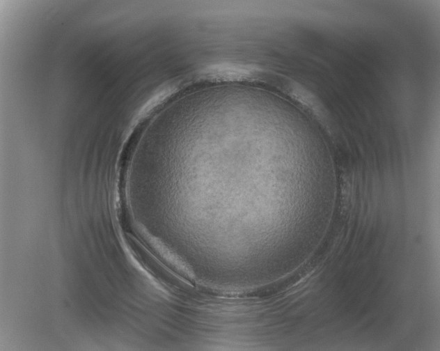 X0000081490582200701191900