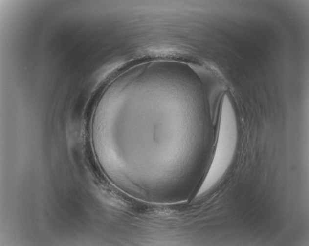 X0000081490583200701191900