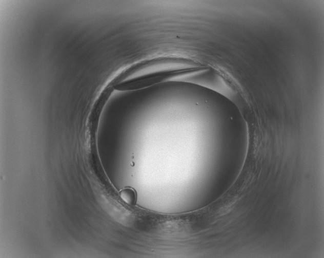 X0000081490584200701191900