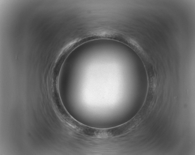 X0000081490587200701191900