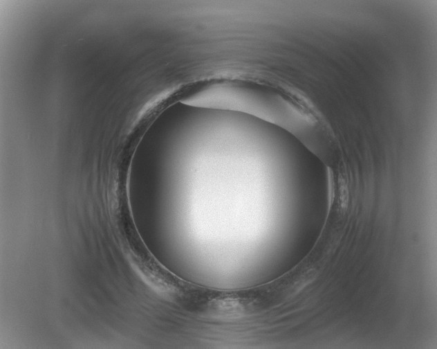 X0000081490588200701191900