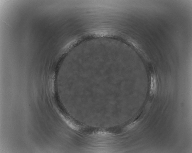 X0000081490590200701191900