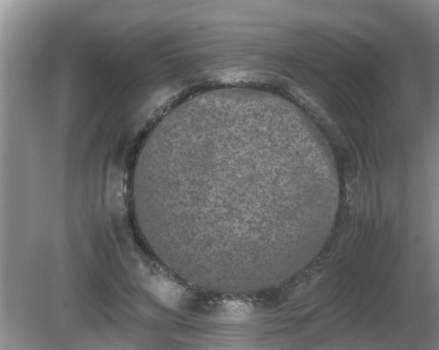 X0000081490592200701191900