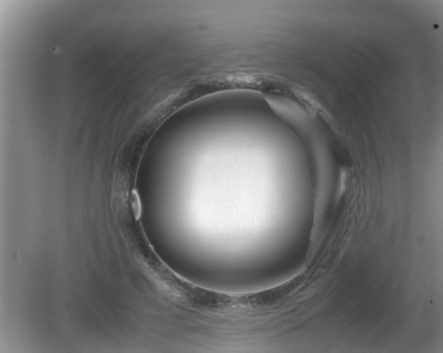 X0000081490593200701191900