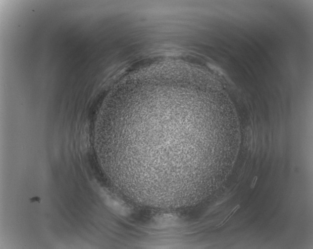 X0000081490594200701191900