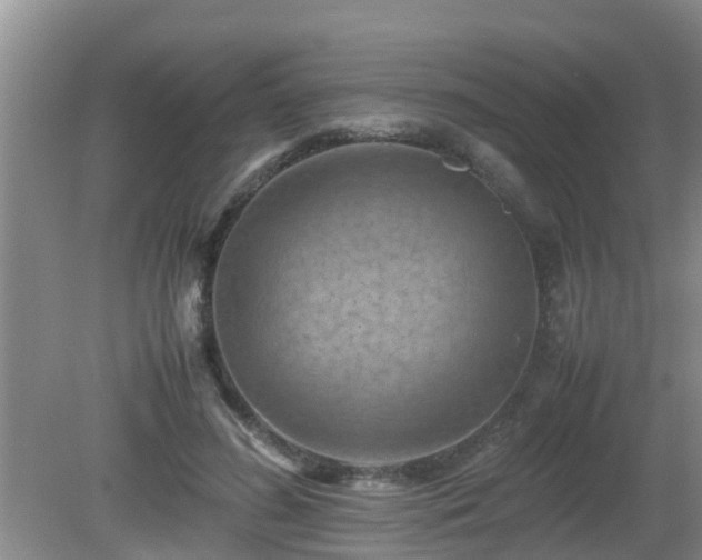 X0000081490596200701191900