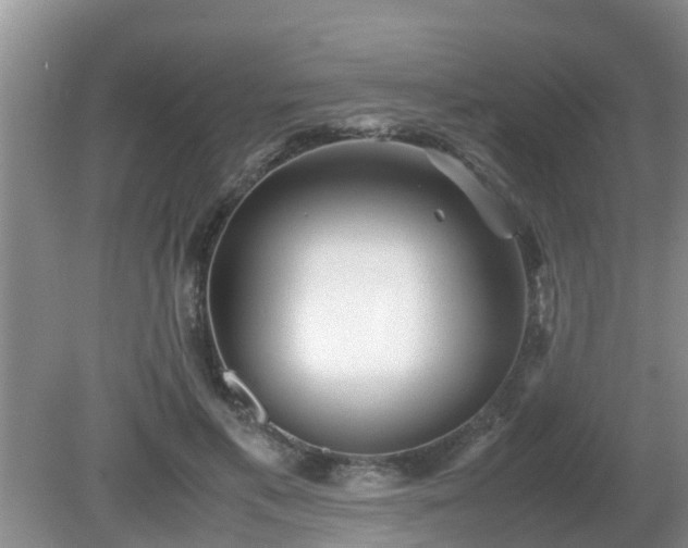 X0000081490597200701191900