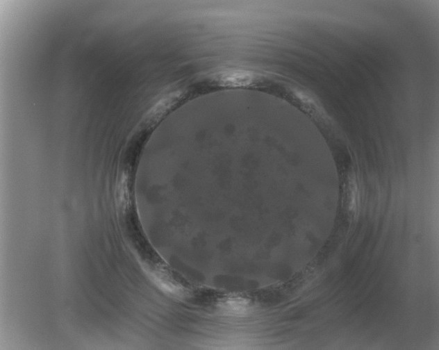 X0000081490598200701191900