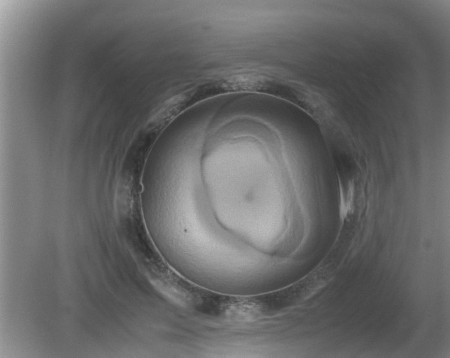 X0000081490599200701191900