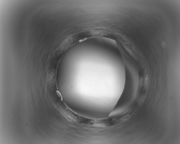 X0000081490601200701191900