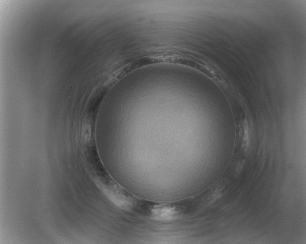 X0000081490602200701191900