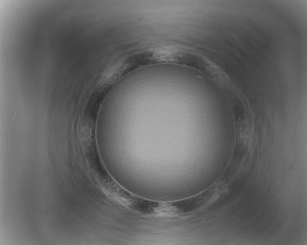 X0000081490603200701191900