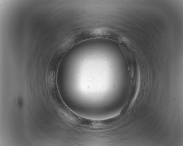 X0000081490605200701191900