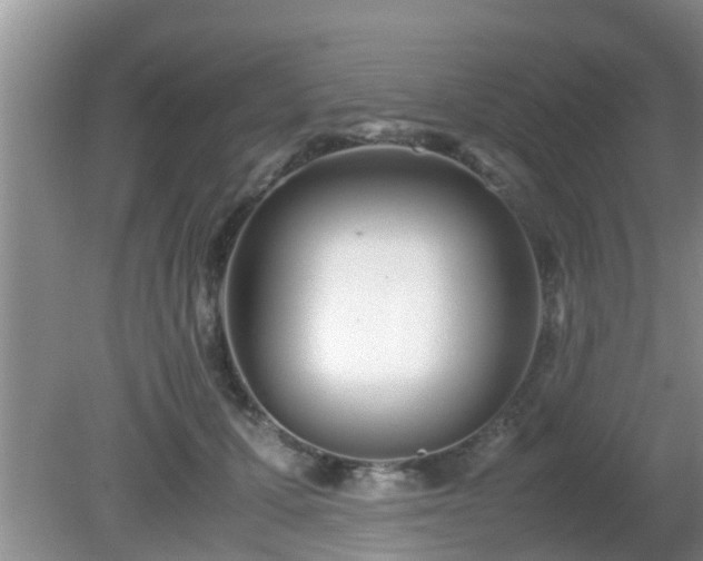 X0000081490607200701191900