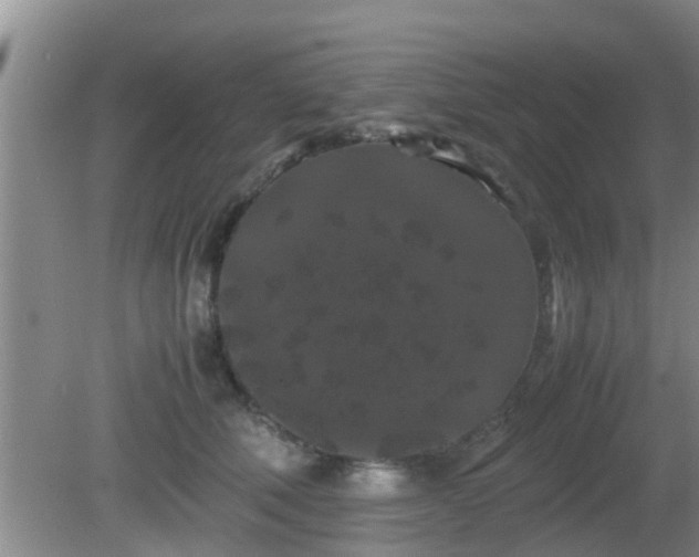 X0000081490610200701191900