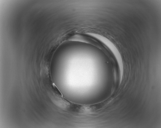 X0000081490613200701191900