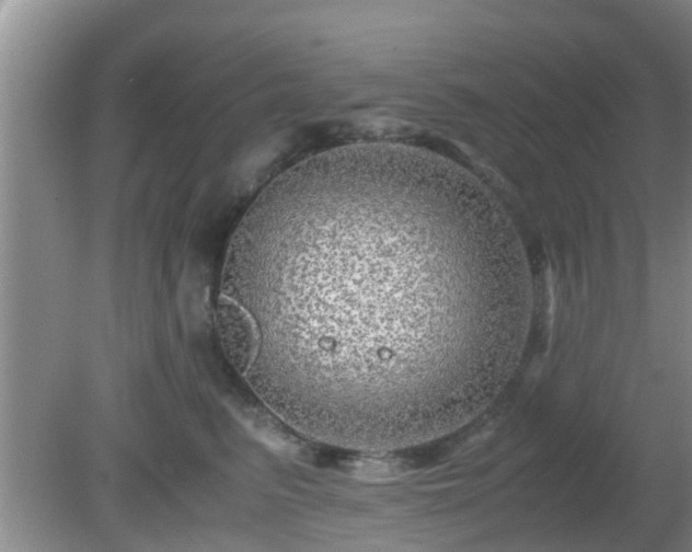 X0000081490615200701191900