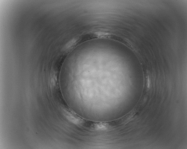 X0000081490618200701191900