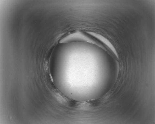 X0000081490621200701191900