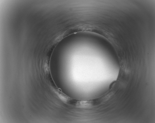 X0000081490622200701191900