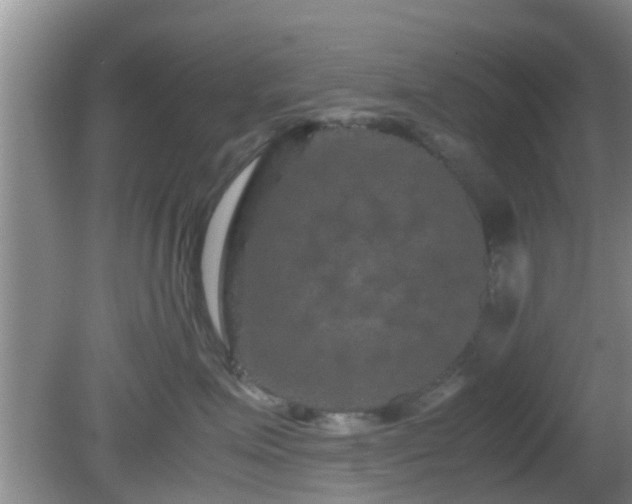 X0000081490623200701191900