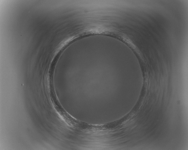 X0000081490626200701191859