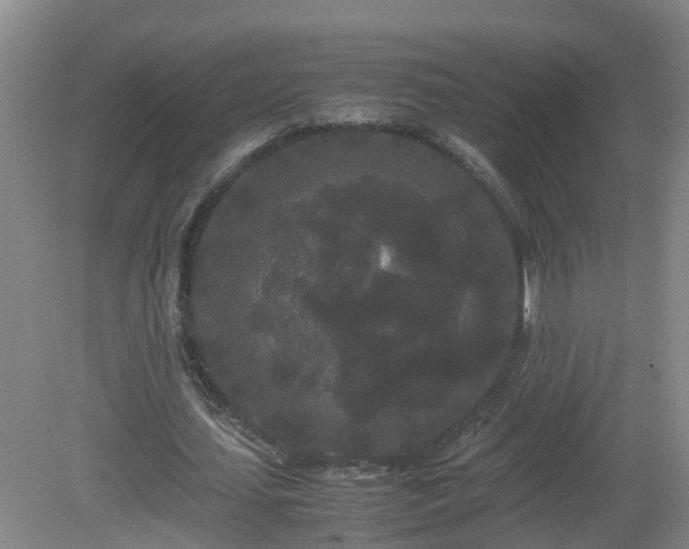 X0000081490627200701191859