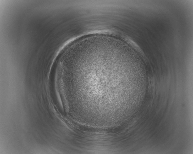 X0000081490628200701191859