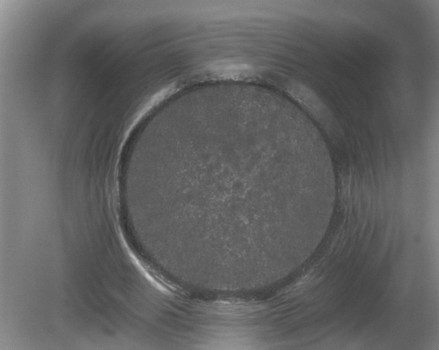 X0000081490630200701191859