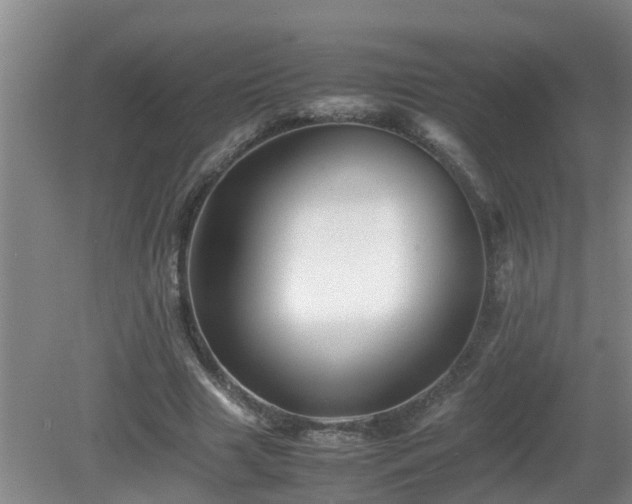 X0000081490633200701191859