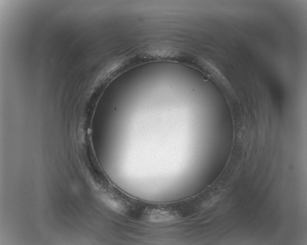 X0000081490635200701191859