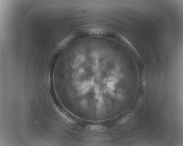 X0000081490637200701191859