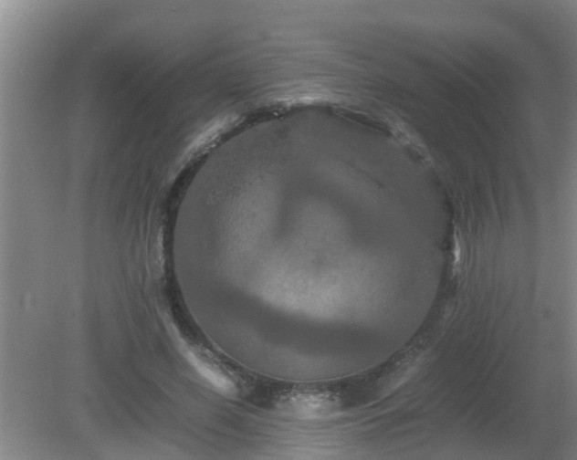 X0000081490638200701191859