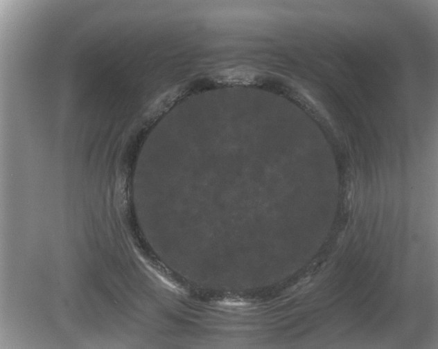 X0000081490641200701191859