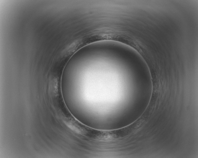 X0000081490646200701191859