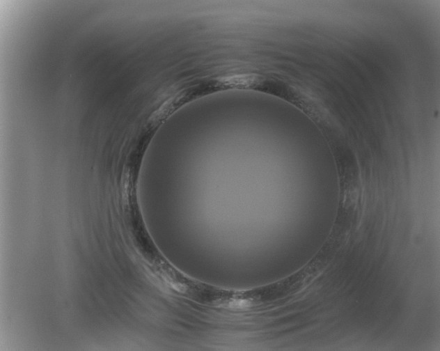 X0000081490647200701191859