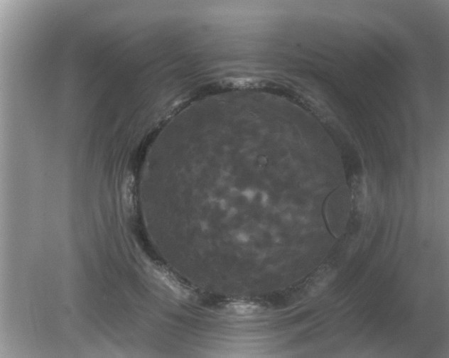 X0000081490650200701191859