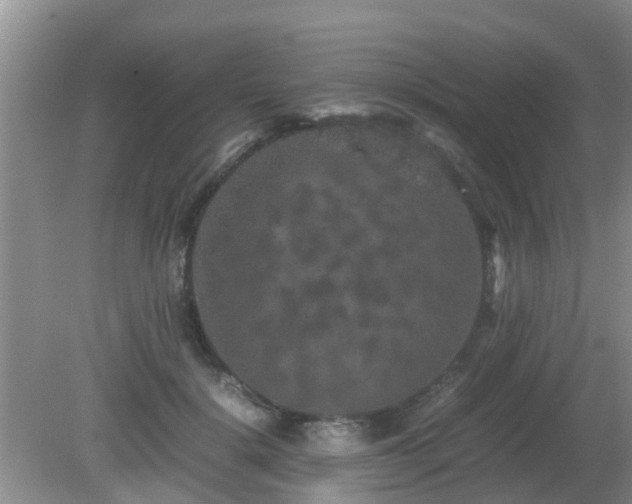 X0000081490652200701191859