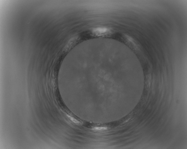 X0000081490653200701191859