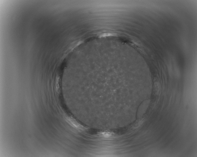 X0000081490654200701191859